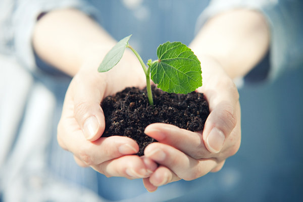 企業(yè)管理中的社會(huì)責(zé)任:構(gòu)建可持續(xù)發(fā)展的商業(yè)模式 企業(yè)管理中的社會(huì)責(zé)任:構(gòu)建可持續(xù)發(fā)展的商業(yè)模式