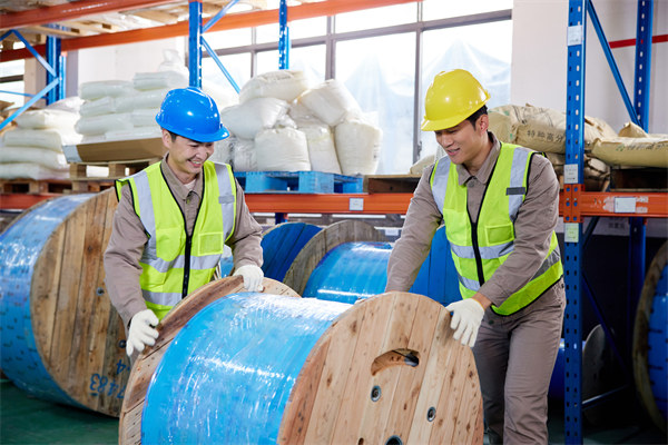 協(xié)同供應(yīng)鏈：強(qiáng)化合作伙伴關(guān)系，提升整體競(jìng)爭(zhēng)力