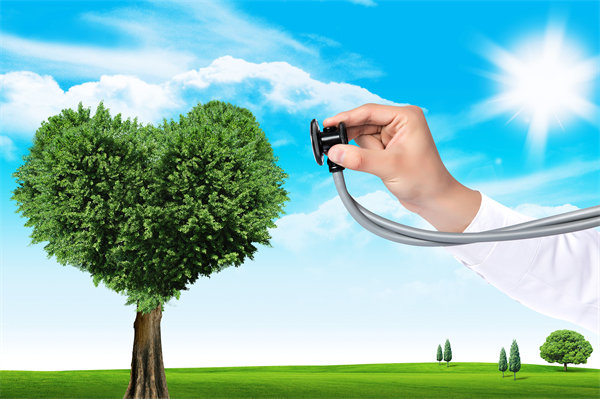 員工福利設(shè)計(jì)新思維：如何平衡成本效益與員工滿意度？